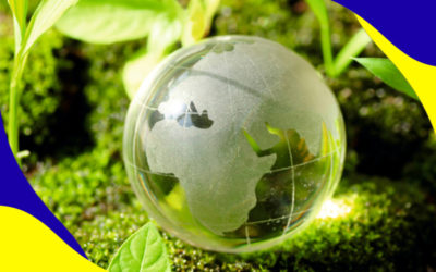 ISO 14001 Lead Implementer Training